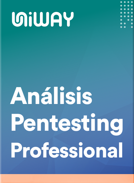 Analisis_Pentesting_Professional